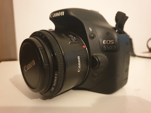 Canon 550d 300mm 5 - canon, f/4-5.6